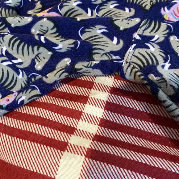 Lularoe rainbow zebra legging - Picture 2 of 4